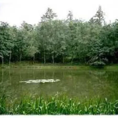 Deb 035 Im Westerwald 民宿 *