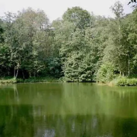 Deb 035 Im Westerwald Freirachdorf