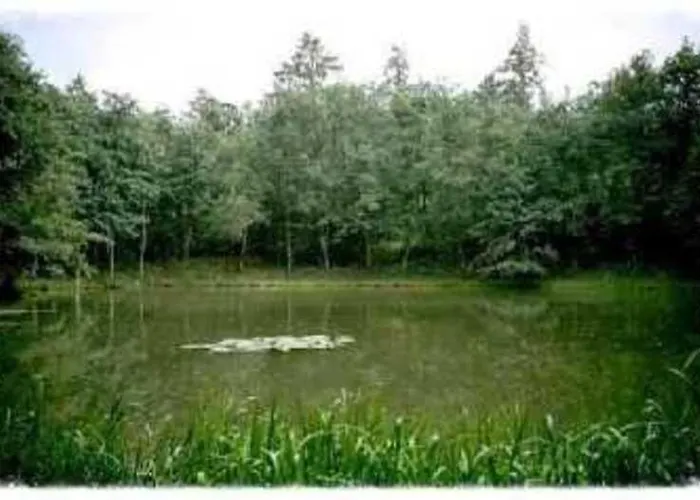 Deb 035 Im Westerwald בית אירוח *