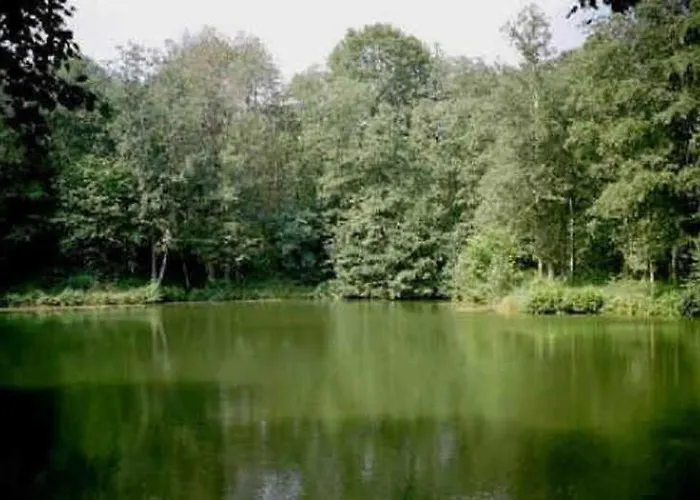 Deb 035 Im Westerwald Freirachdorf